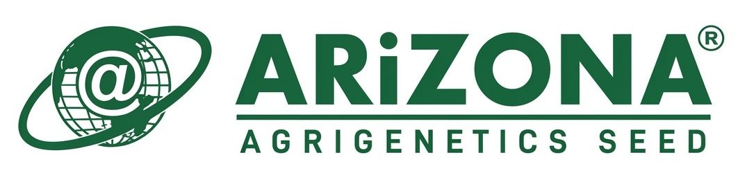 Partner 1
